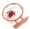 AZAK Mini Kancalı 30 cm Duvara Monte Basketbol Çemberi - adet